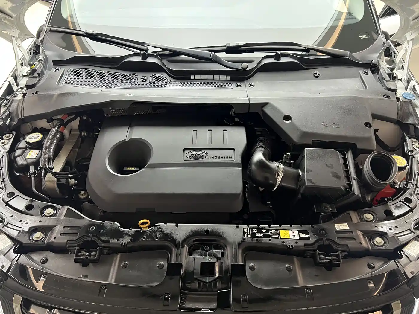 Land Rover Range Rover Evoque New Energy 2022 2021 Range Rover Evoque L P300e Luxury