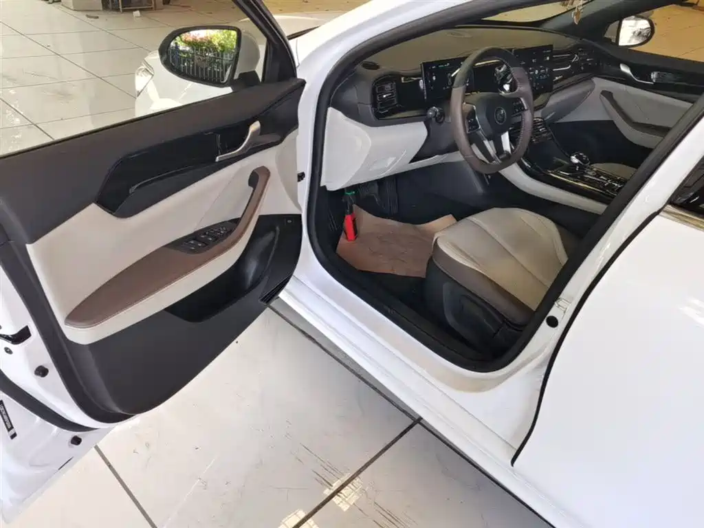 BYD Qin PLUS 2024 Glory Edition DM-i 55KM Leading фото 16