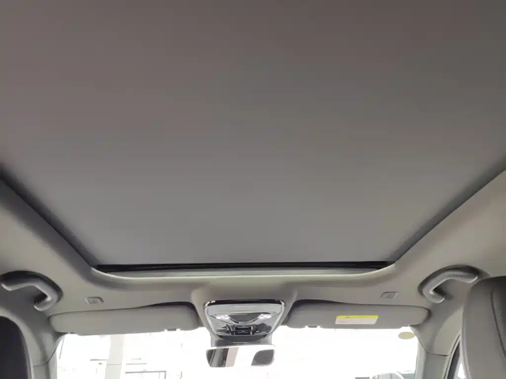 ARCFOX EXTREME FOX POLAR FOX ALPHA T