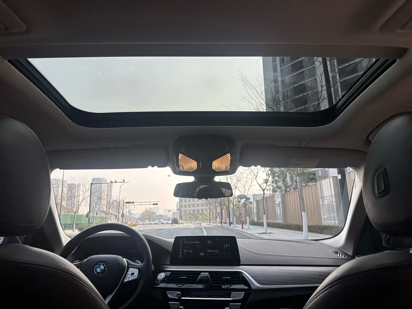 BMW 5 Series 2020 530Li Leading Luxury Package фото 27