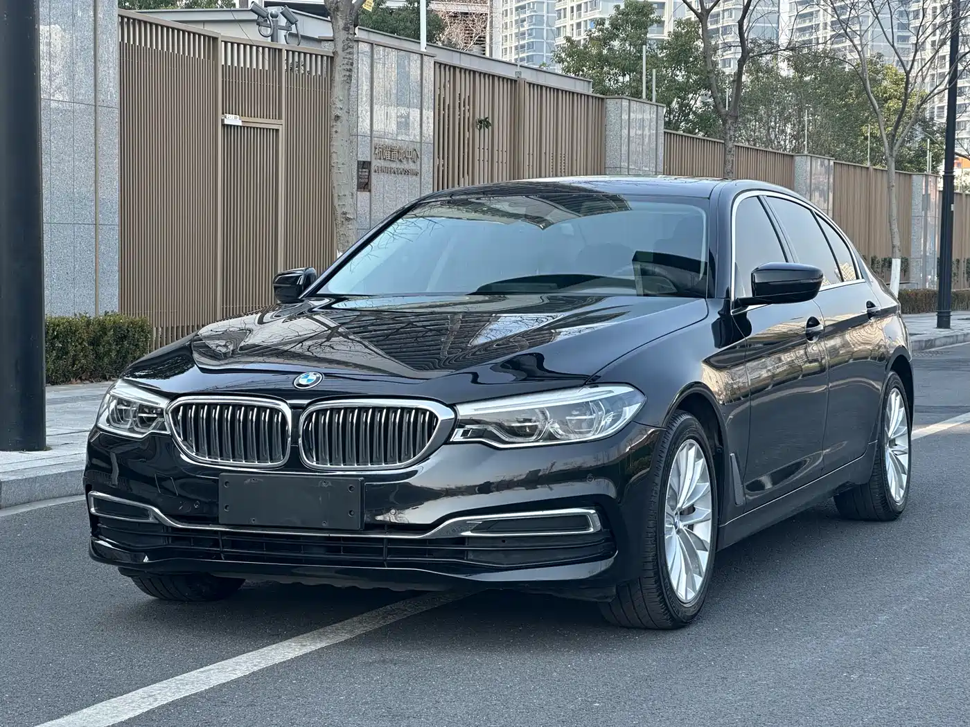 BMW 5 Series 2020 530Li Leading Luxury Package