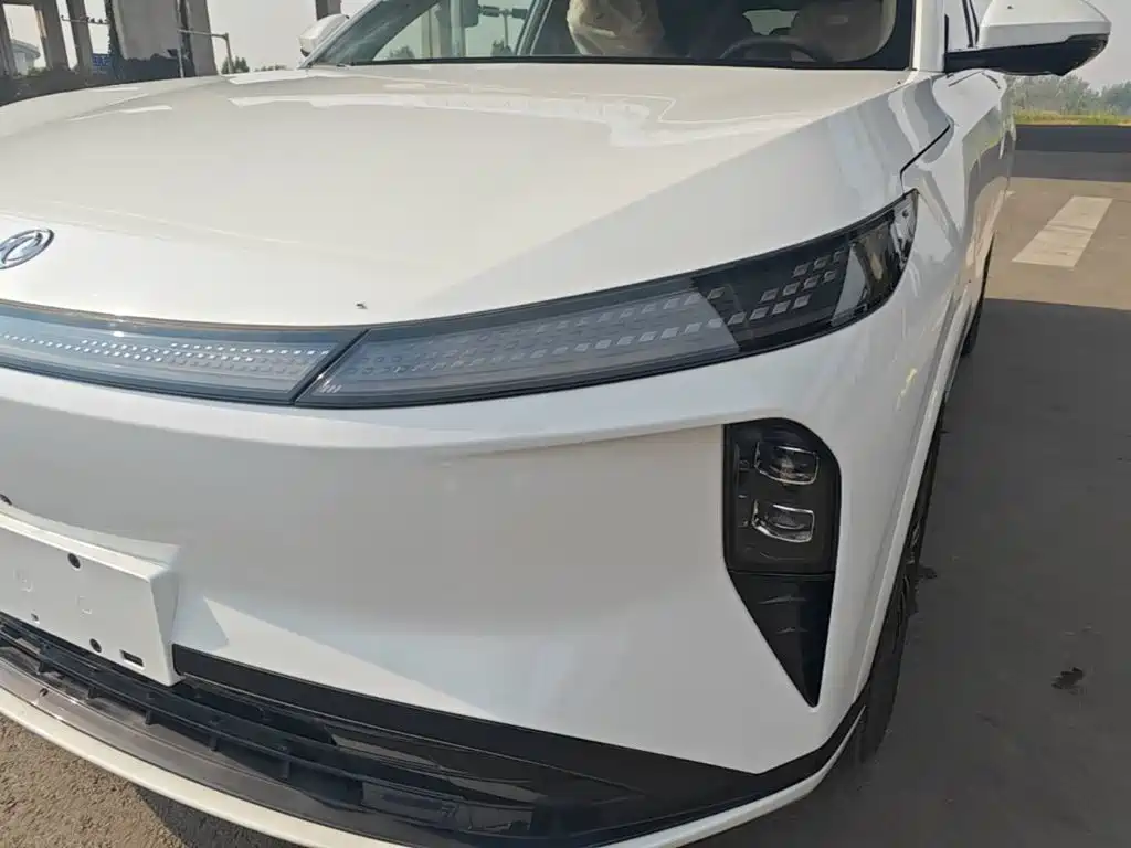 صورة 24 - Dongfeng Aeolus L8