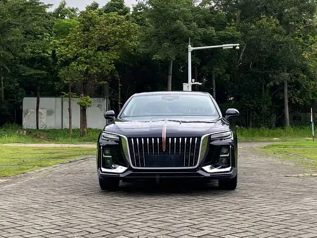 Hongqi H5 2024 2.0T Automatic Smart Connect Flag Smooth Edition — фото 2