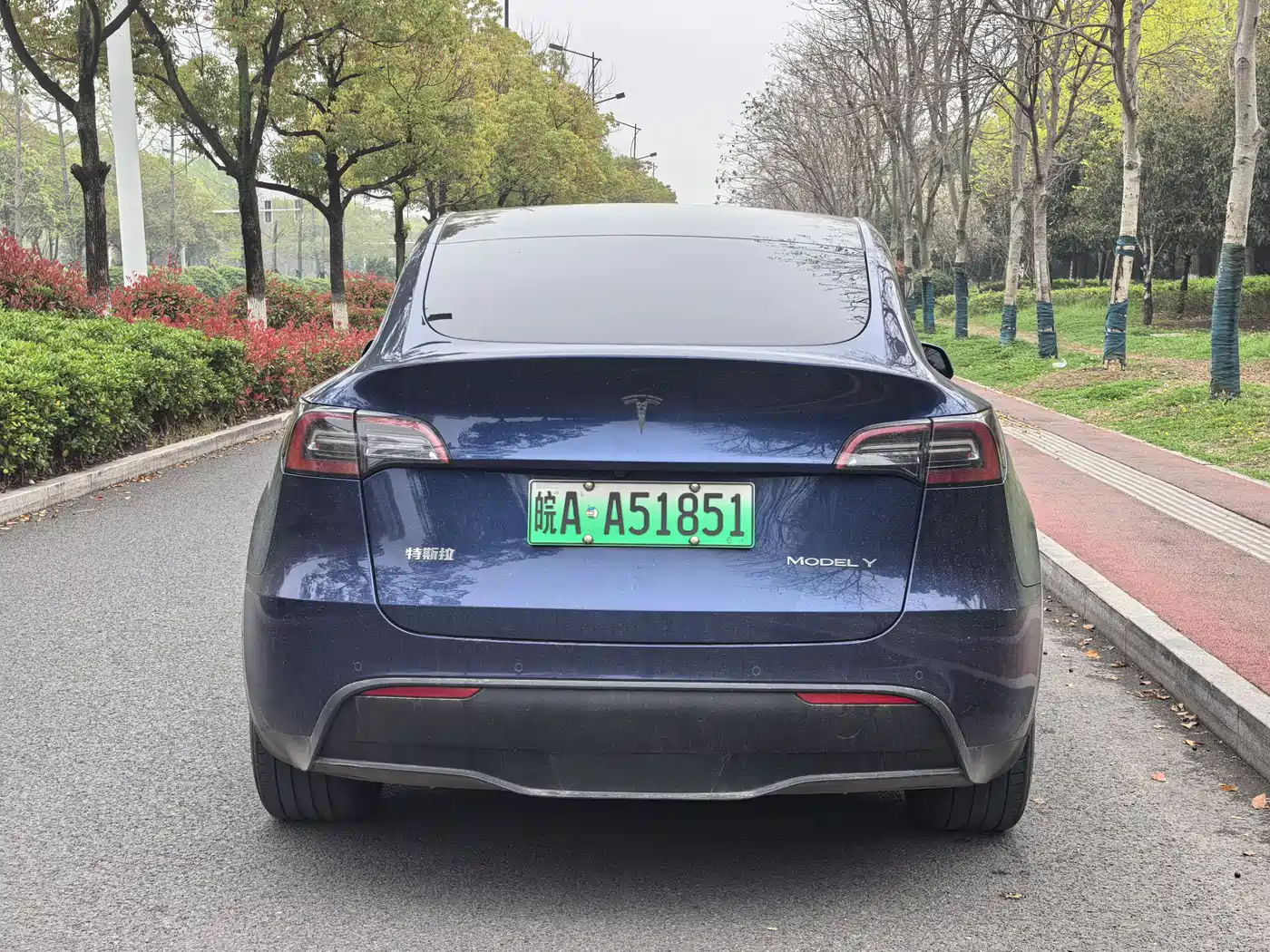 TESLA MODEL Y