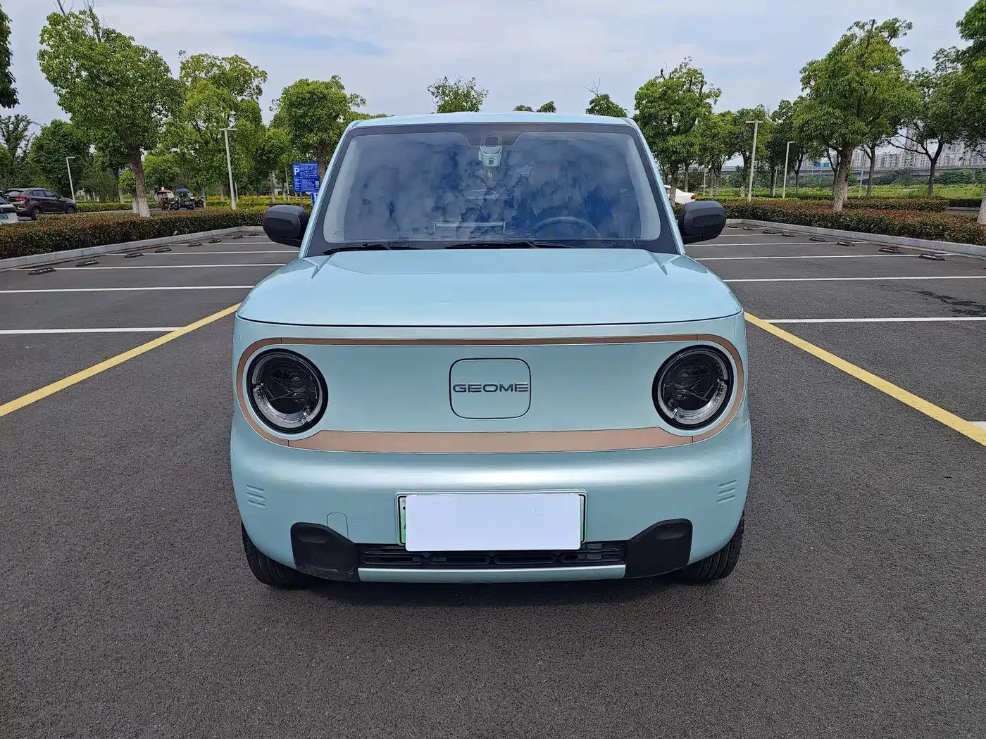 Geely Galaxy Panda 2024 Panda mini 200km Endurance Bear фото 2