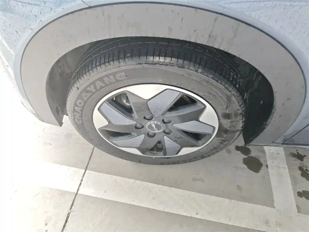 BYD Dolphin 2024 Glory Edition 420km Fashion Edition фото 23