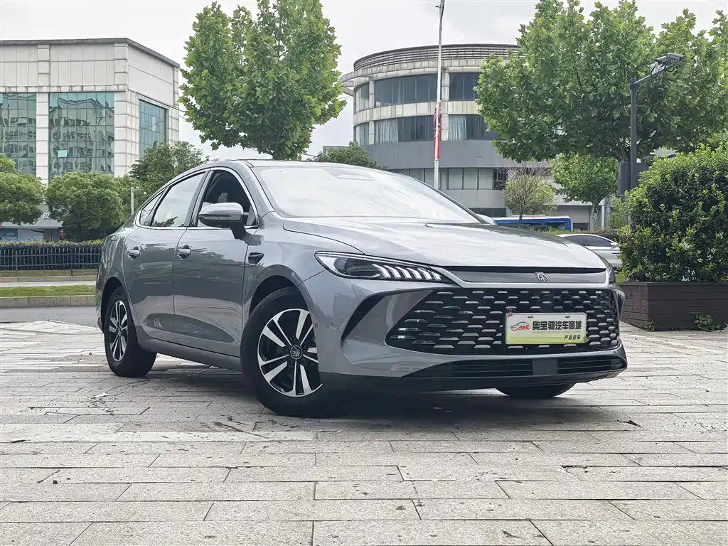 BYD Qin PLUS 2025 DM-i Smart Drive Edition 55KM Surpassing Type фото 3