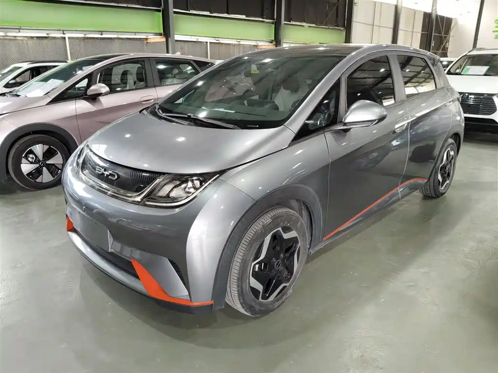 BYD Dolphin 2021 Model 405km Fashion Edition