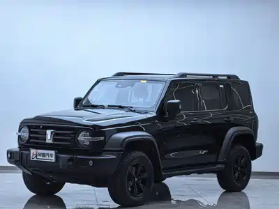 Tank 300