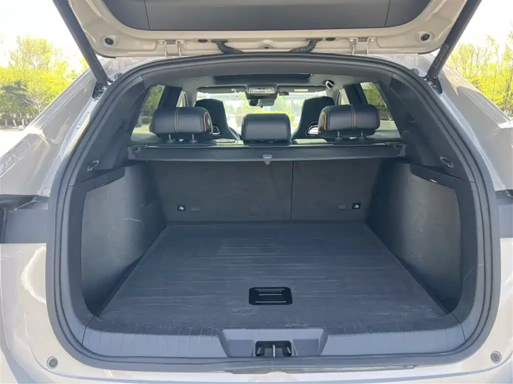 BYD Song PLUS PHEV 2023 Champion Edition DM-i 110KM Flagship PLUS фото 10