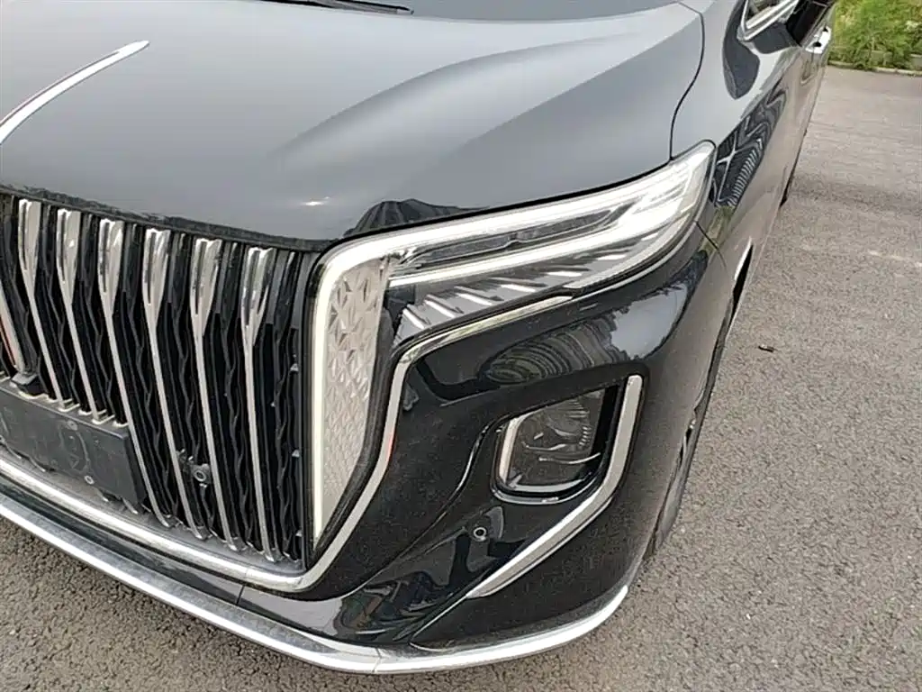 Hongqi HQ9 PHEV 2024 Model 2.0T AWD Business Edition фото 24