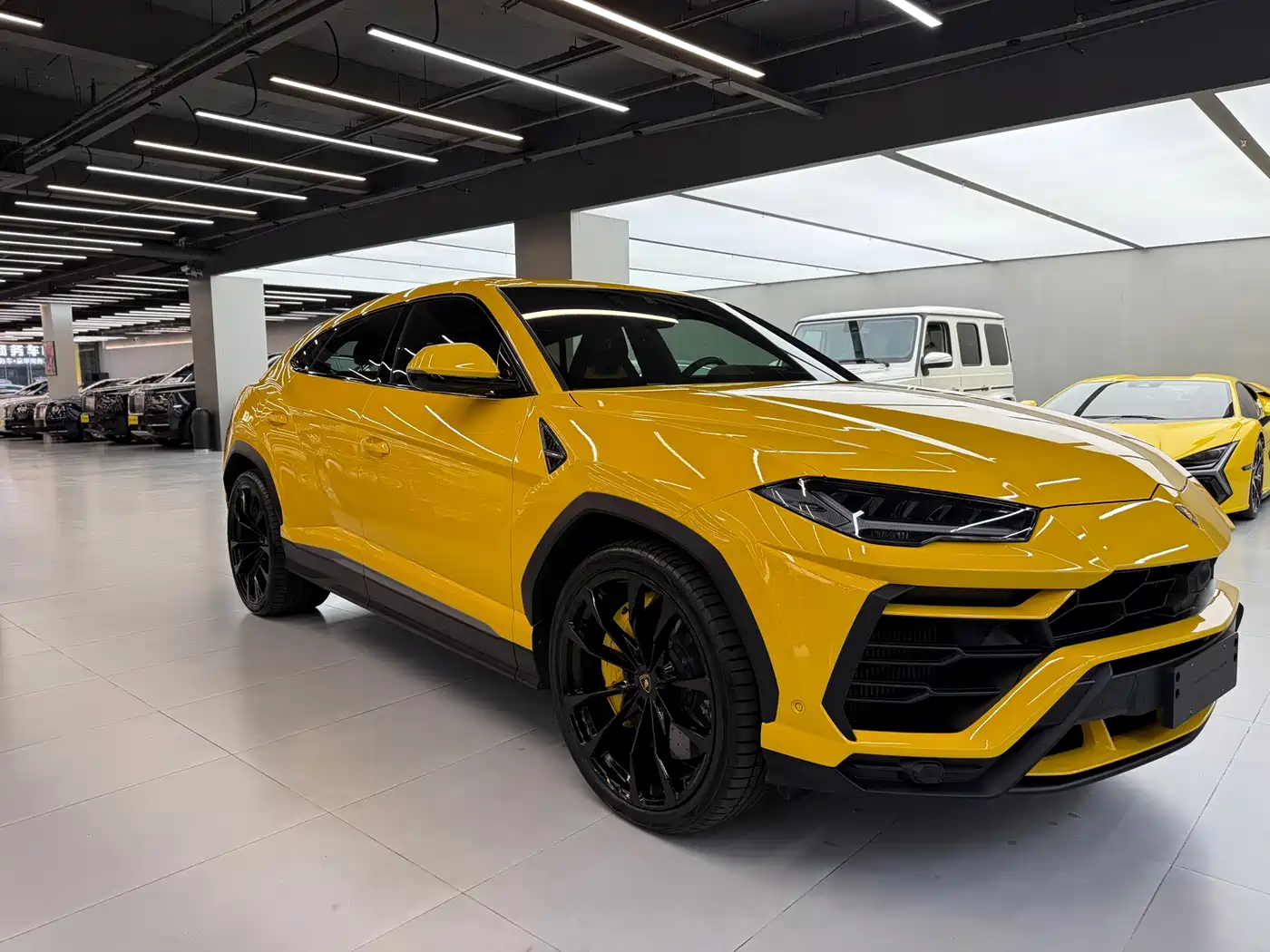 Lamborghini Urus 2021 4.0T V8 фото 2