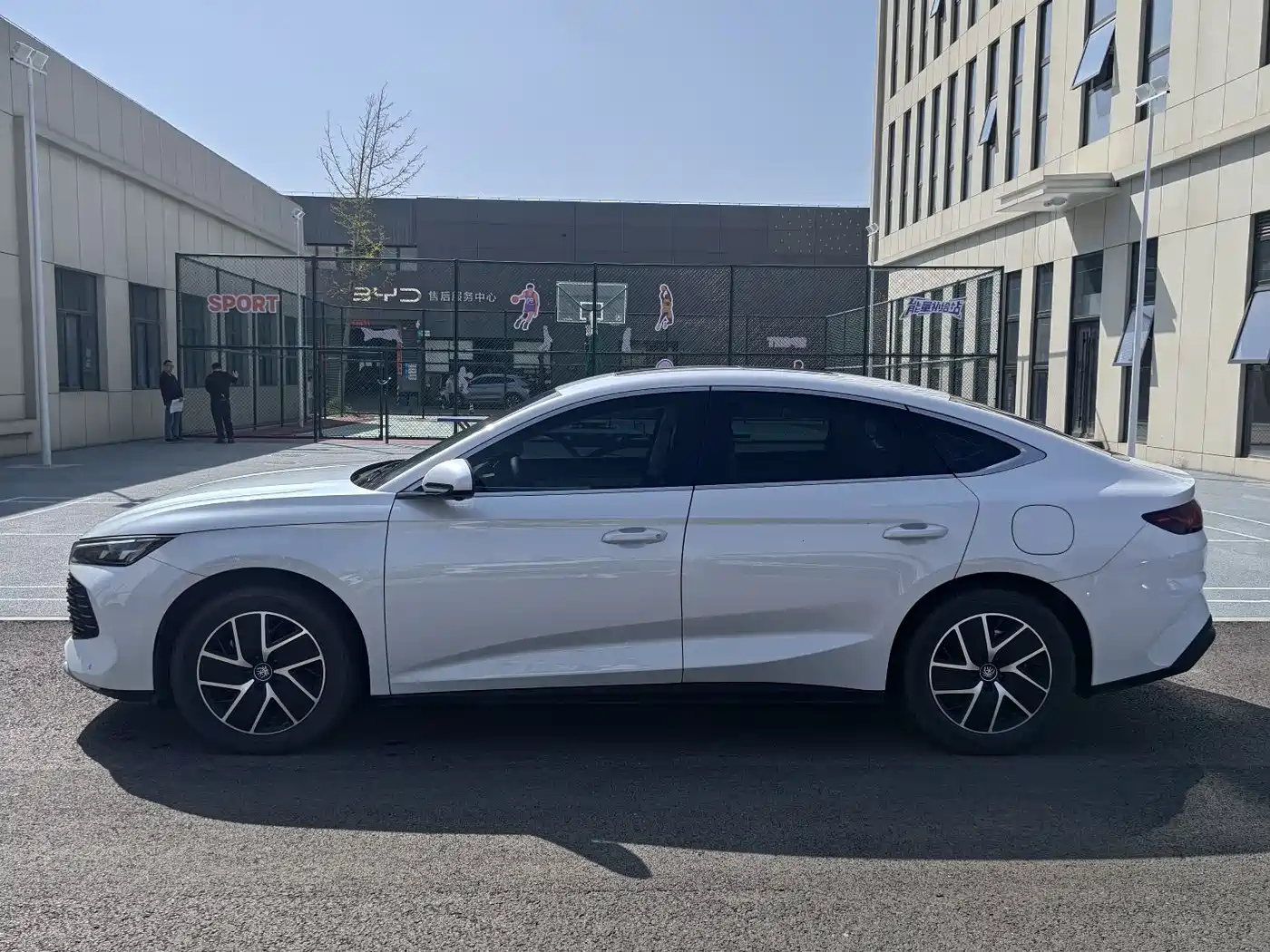 BYD Qin L 2024 DM-i 120KM Leading фото 5