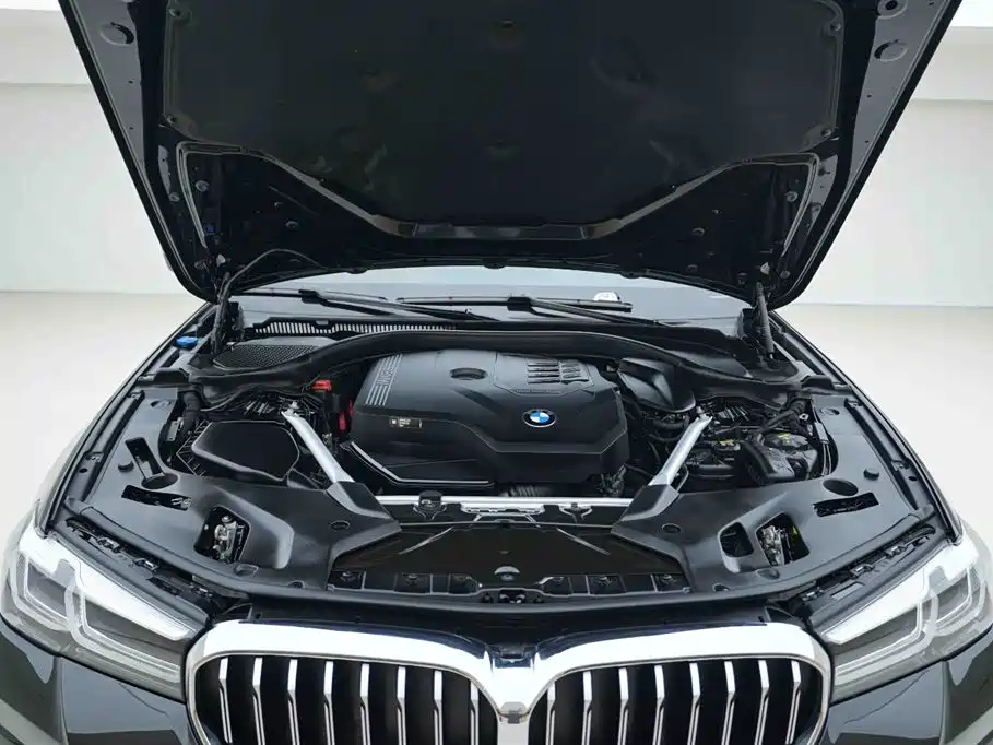 BMW 5 Series 2021 530Li xDrive M Sport Package фото 7