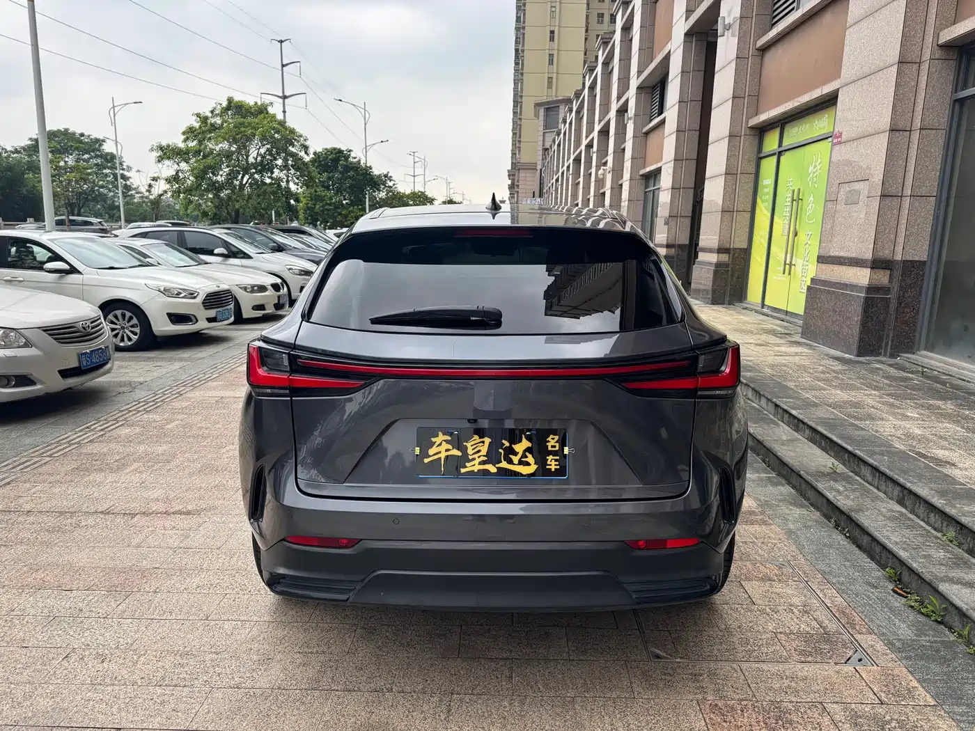 LEXUS NX