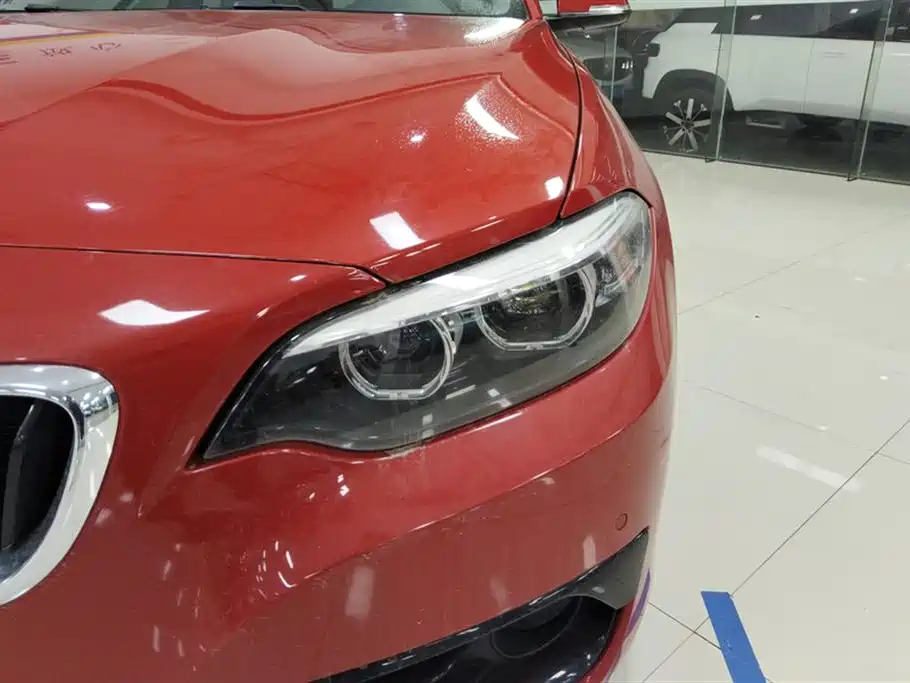 BMW 2 Series (Import) 2018 220i Sport Design Package фото 5