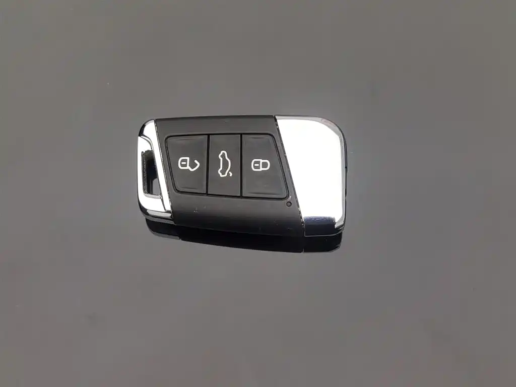 VOLKSWAGEN PASSAT NEW ENERGY