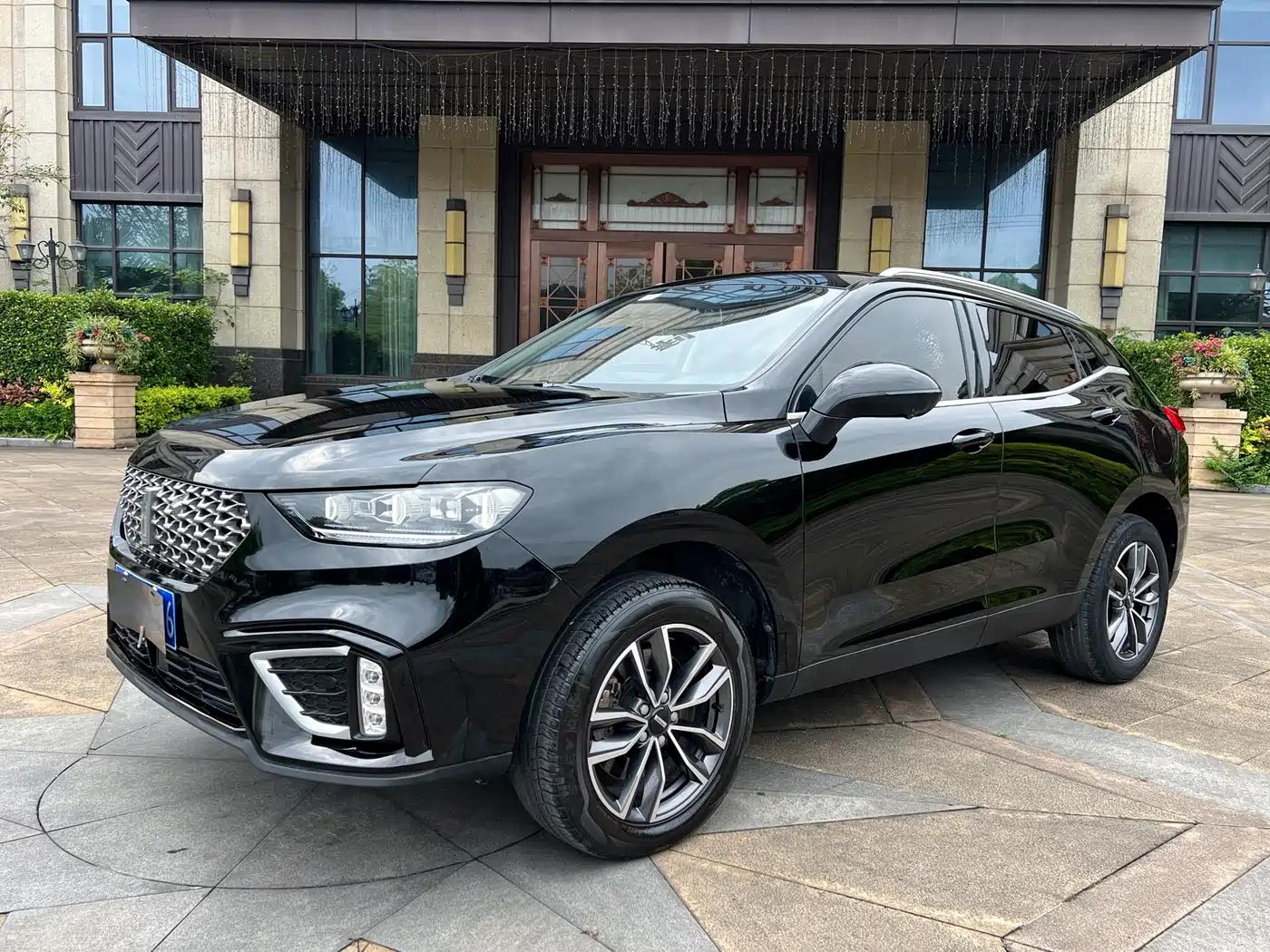 WEI PAI WEI BRAND VV5