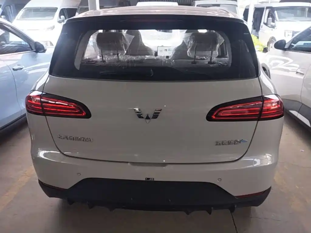 Wuling Motors Wuling Binguo PLUS 2026 2024 Model 330km 5-Seater