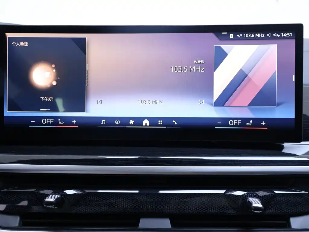 Photo 10 - BMW X6