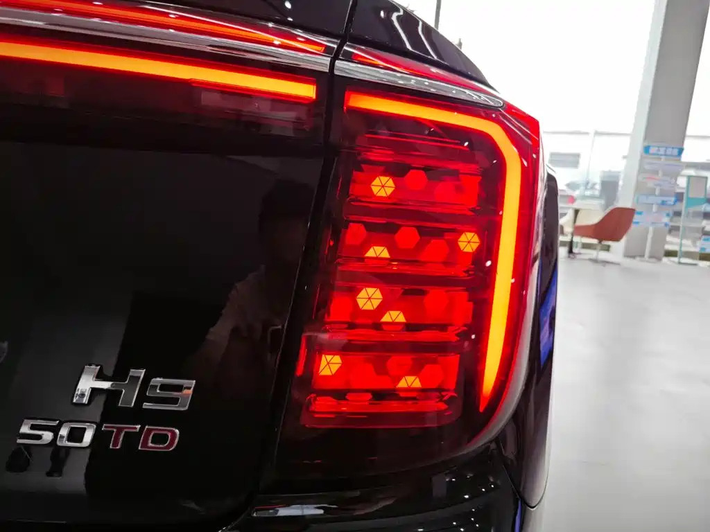 Hongqi H9, миниатюра 23