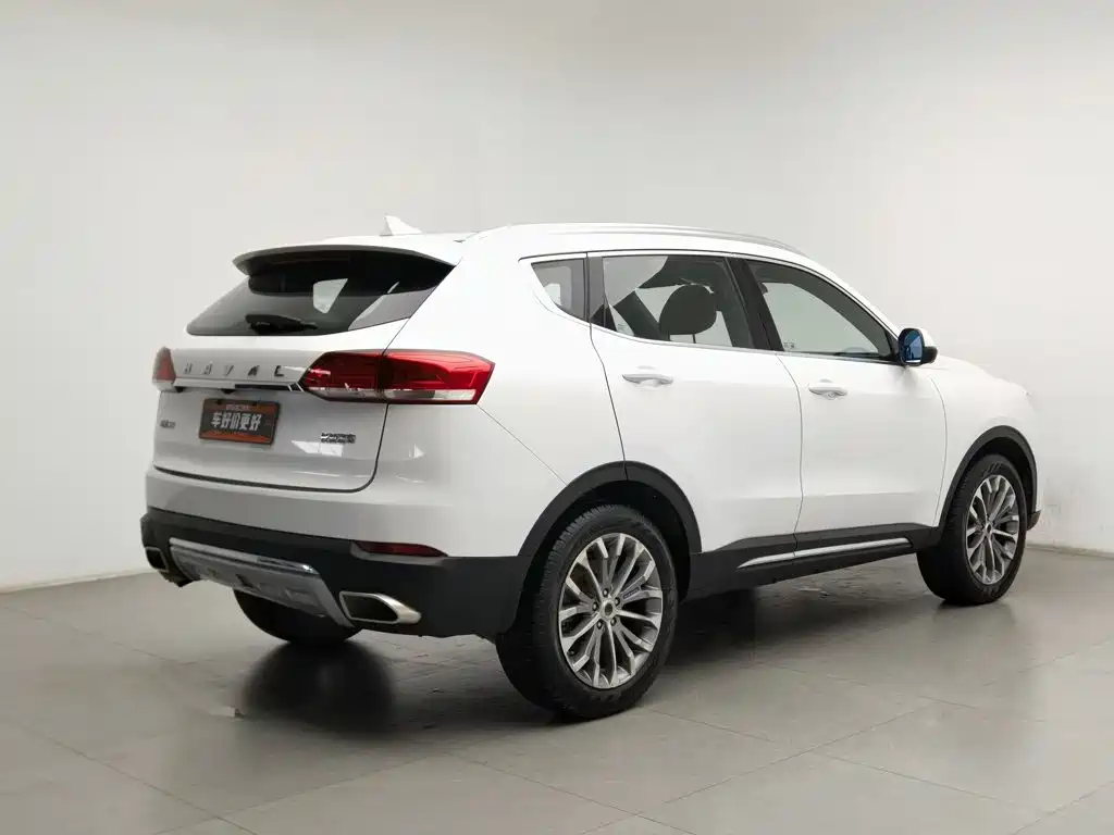 صورة 2 - Haval H6