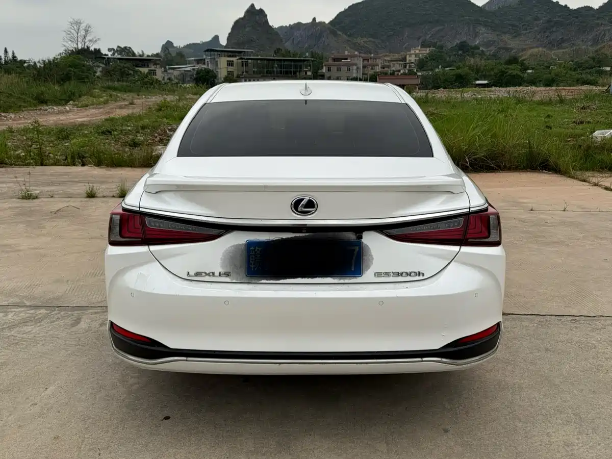 Lexus ES 2018 300h Excellence Edition China V фото 8