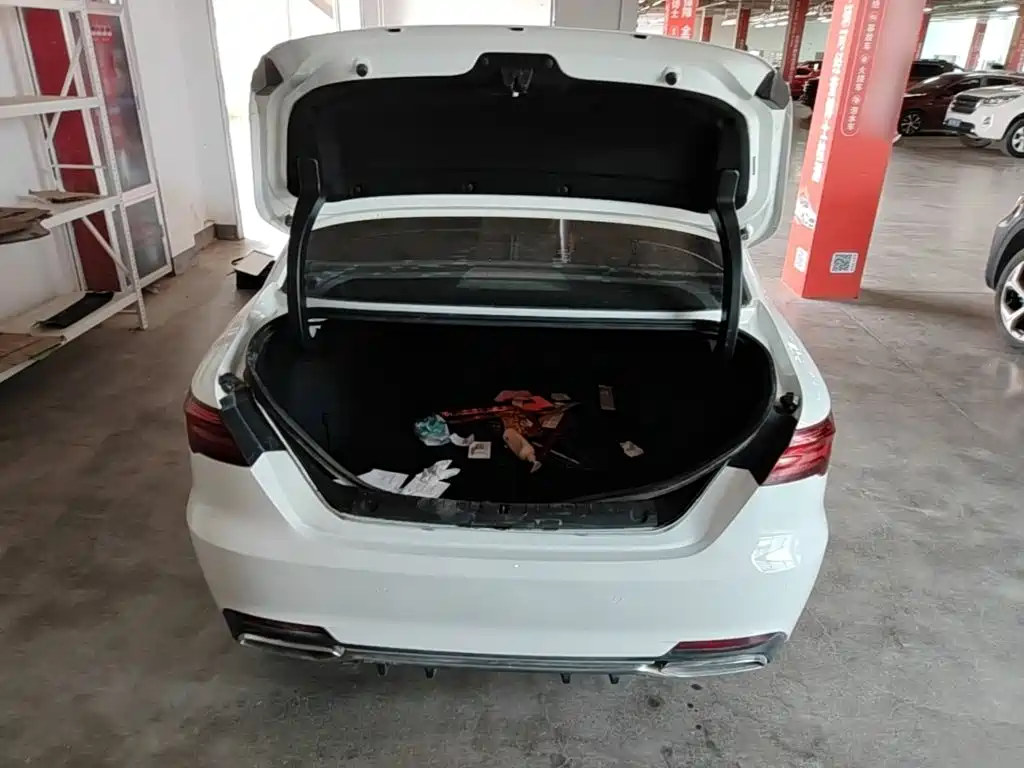 Geely Binrui 2019 2019 200T DCT Binzhi Edition