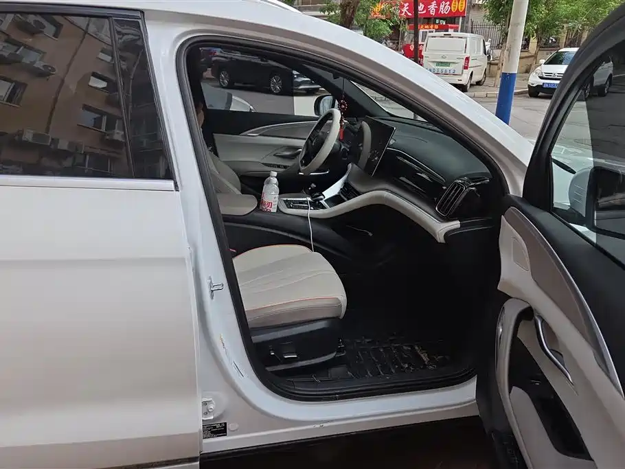 BYD Song Pro New Energy 2023 Champion Edition DM-i 110KM Excellence фото 8