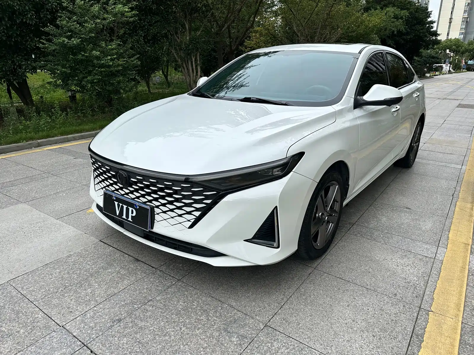 Фото 2 - Changan Ruicheng PLUS