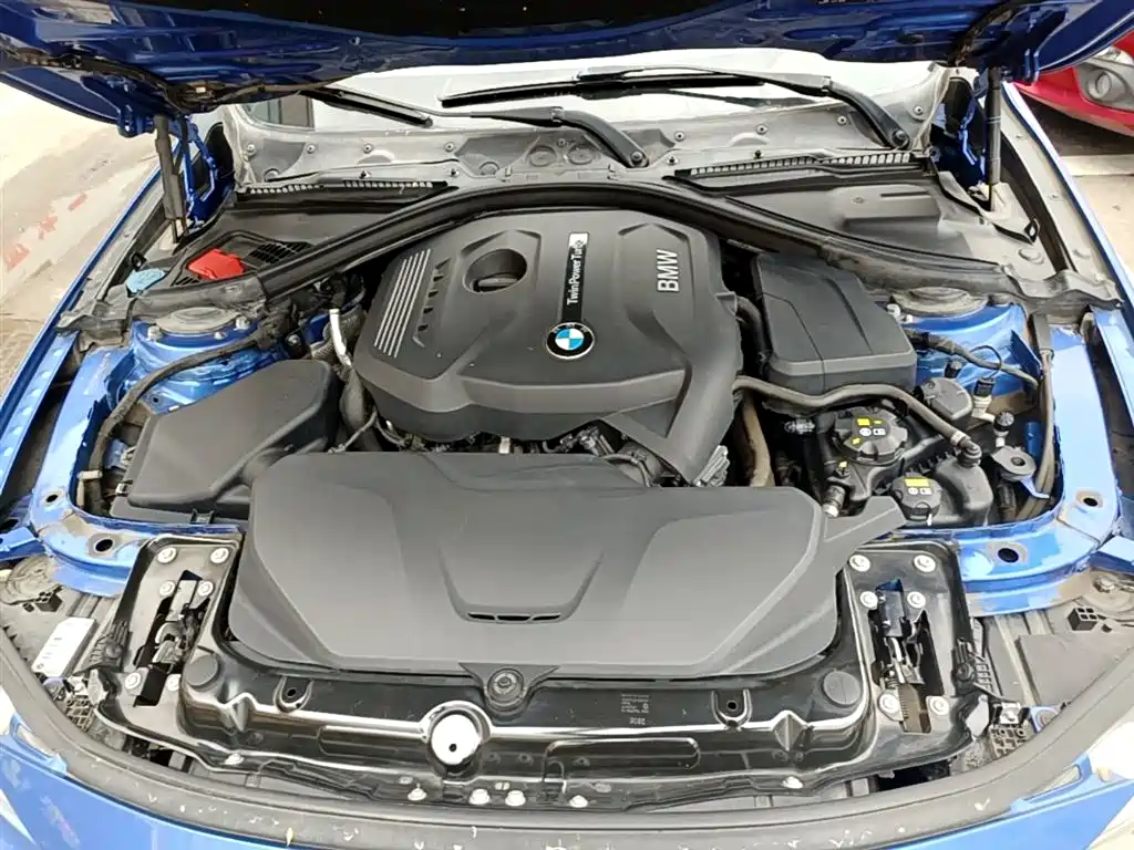 BMW 3 Series 2017 320Li M Sport фото 20