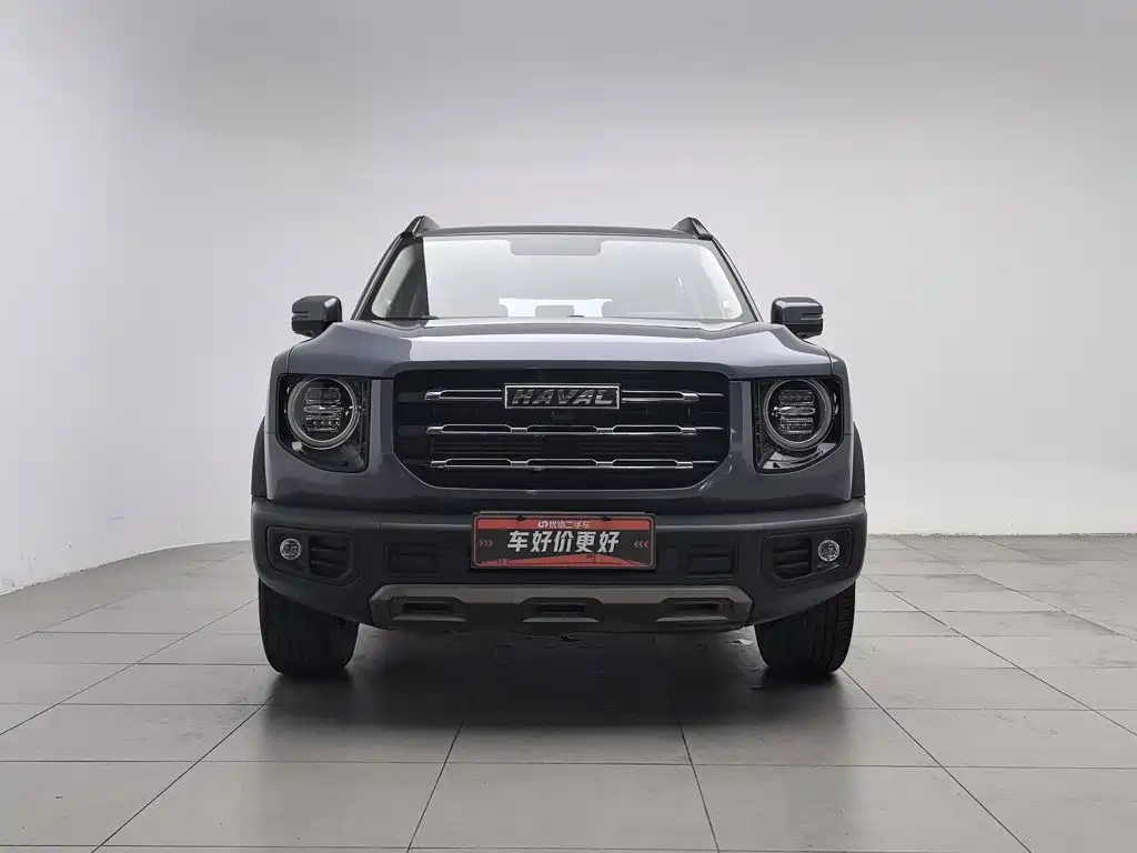 Photo 3 - Haval Dargo