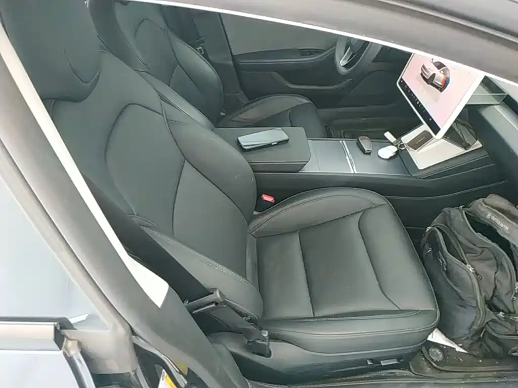 Tesla Model 3 2025 2025 Model Rear-Wheel Drive Edition
