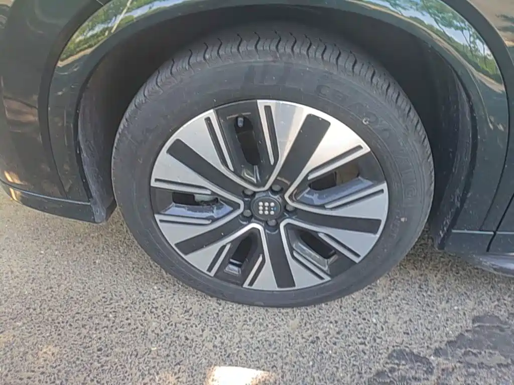 Landian E5 PLUS 2024 2025 165km Long Range Pro (5-Seater)