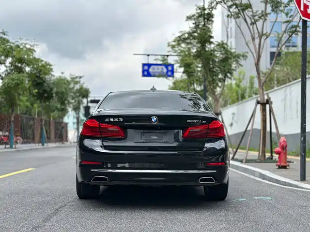BMW 5 Series New Energy 2020 530Le Luxury Package — фото 5