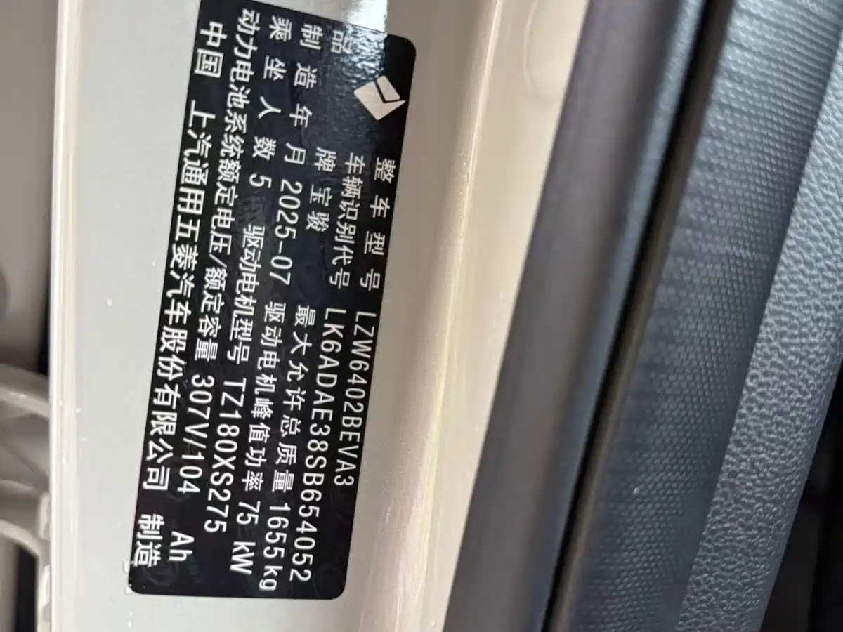 Baojun Yueye Plus 2025 2026 301km Flagship