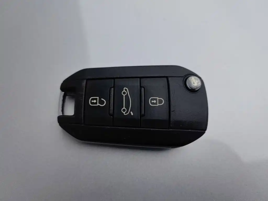 صورة 19 - Peugeot 301