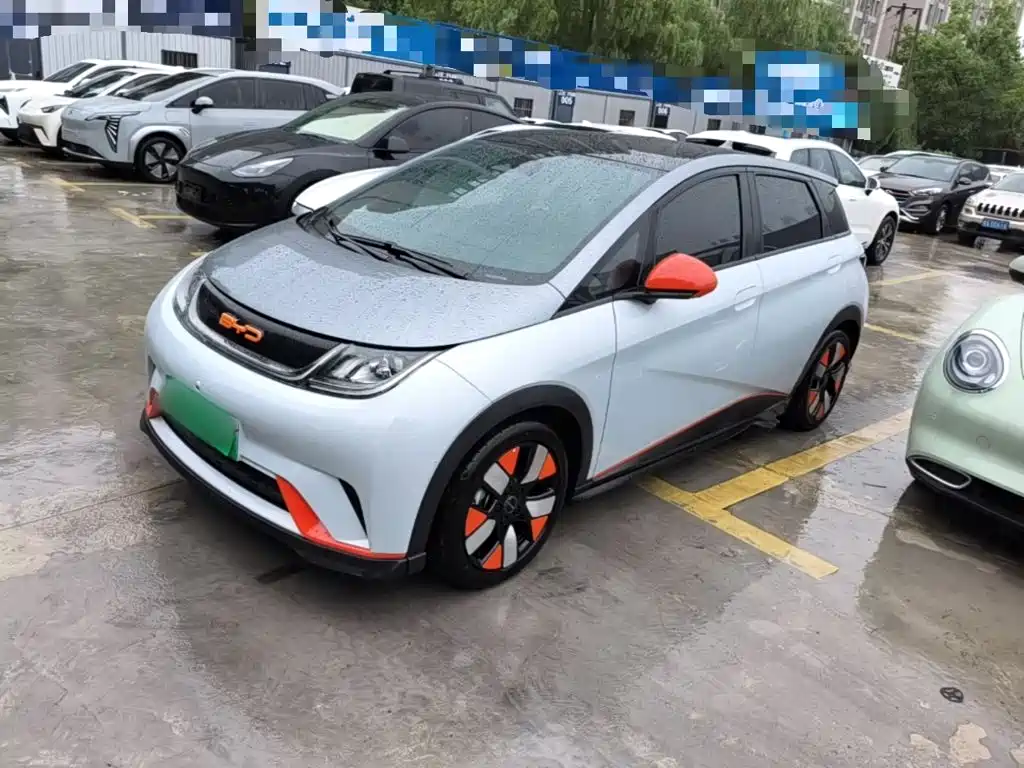 BYD Dolphin 2021