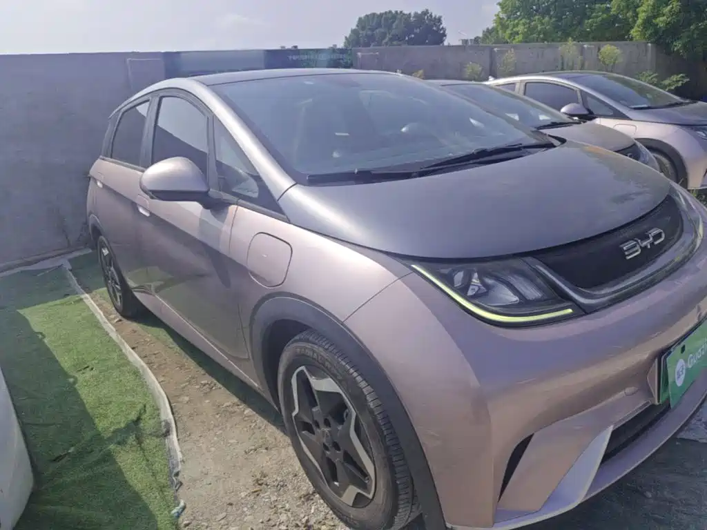 BYD Dolphin 2021 2021 Model 405km Fashion Edition