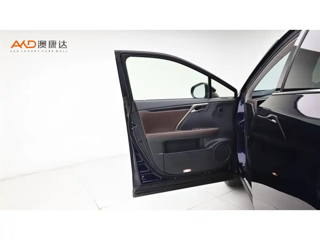 Lexus RX 2020 300 4WD Elegance Edition China VI фото 10