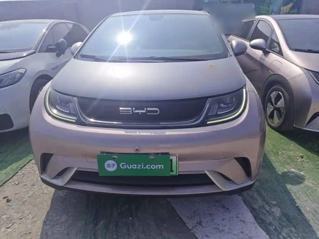 BYD Dolphin 2021 2021 Model 405km Fashion Edition