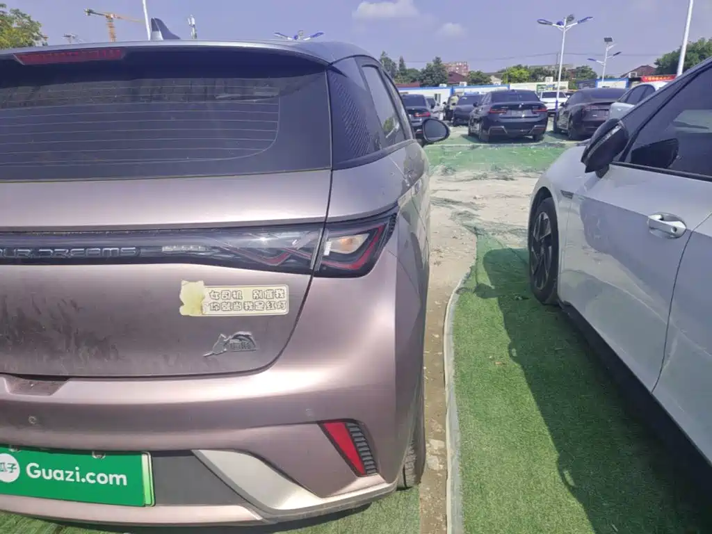 BYD Dolphin 2021 2021 Model 405km Fashion Edition