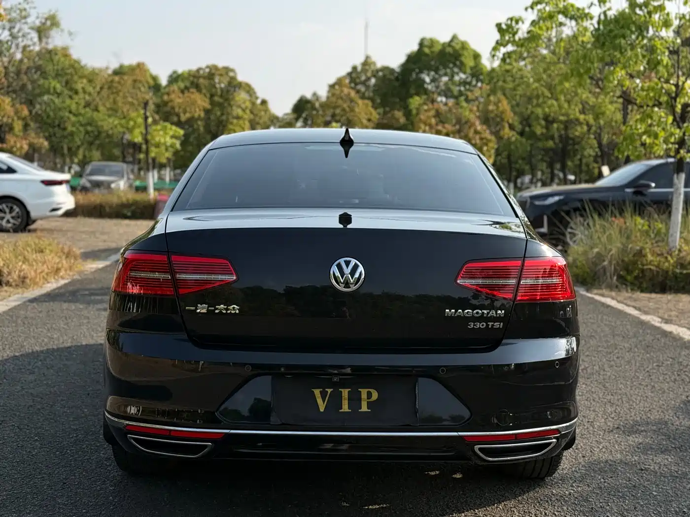 Volkswagen Magotan 2019 330TSI DSG Leading China VI фото 22