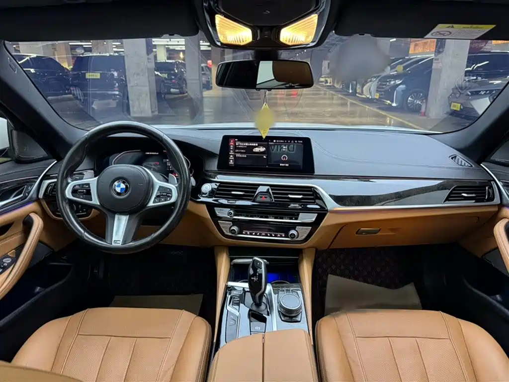 BMW 5 Series 2020 530Li Exclusive M Sport Package фото 9