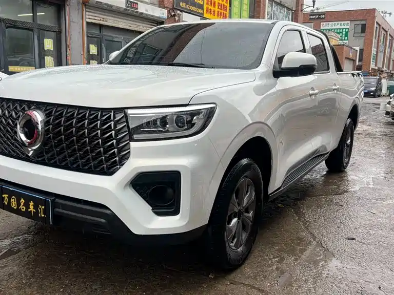 Great Wall Pao 2024 Model 2.4T Commercial Version Automatic Diesel 4WD Elite Type