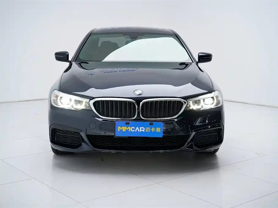 BMW 5 Series 2019 530Li Leading M Sport Package фото 11