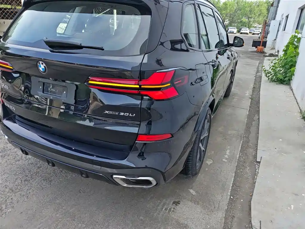 BMW X5 2023 xDrive 30Li Premium M Sport Black Night Package фото 8