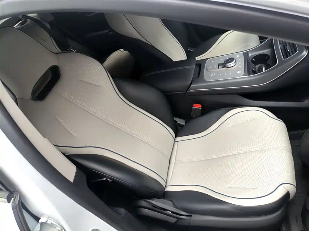 BYD Destroyer 05 2024 Glory Edition DM-i 55KM Luxury фото 25