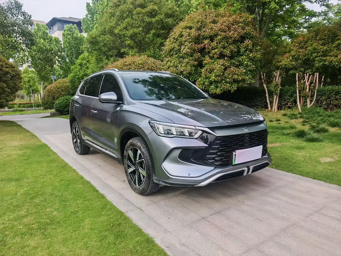 BYD Song Pro New Energy 2024 Glory Edition DM-i 71KM Pilot фото 3