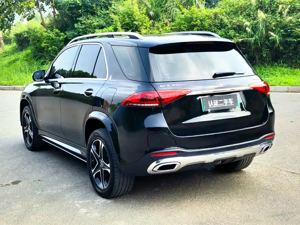 MERCEDES-BENZ GLE NEW ENERGY